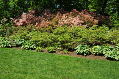 DSC_9788.jpg