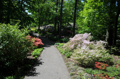 DSC_9791.jpg