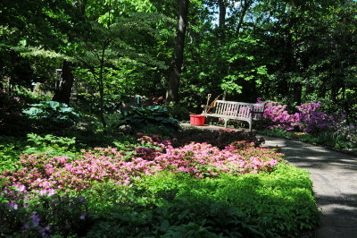 DSC_9792.jpg