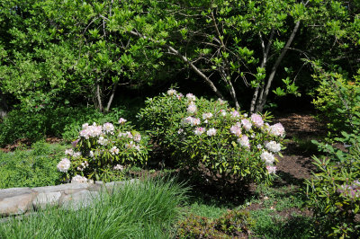 DSC_9797.jpg