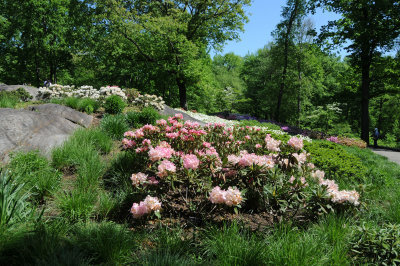 DSC_9805.jpg