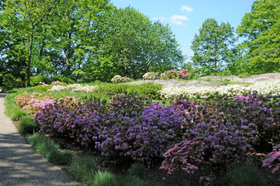 DSC_9808.jpg