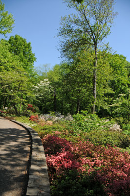 DSC_9810.jpg