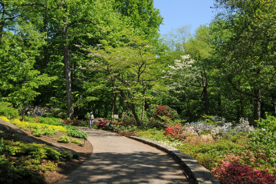 DSC_9811.jpg