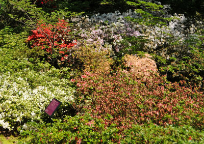 DSC_9812 copy 2.jpg