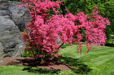 DSC_9839 copy.jpg