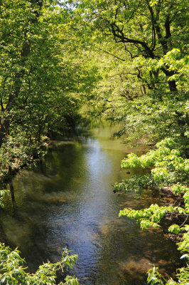 DSC_9842.jpg