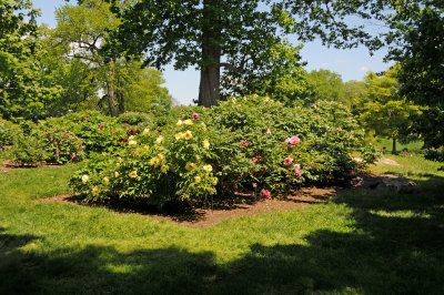 DSC_9846.jpg