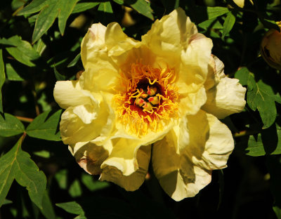 DSC_9848.jpg