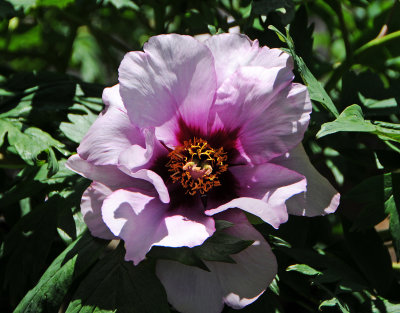 DSC_9856.jpg