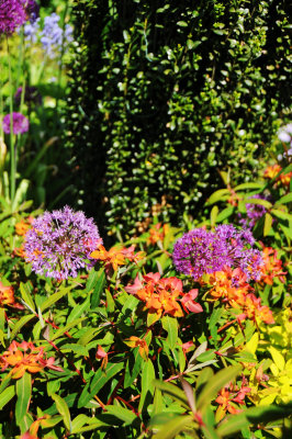 DSC_9897.jpg