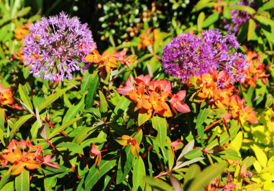 DSC_9897 copy.jpg