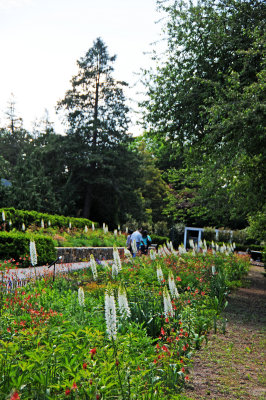 DSC_9902.jpg