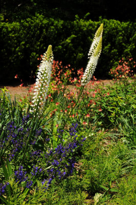 DSC_9907.jpg