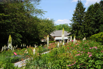 DSC_9908.jpg