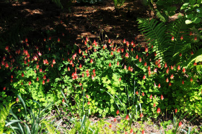 DSC_9914.jpg