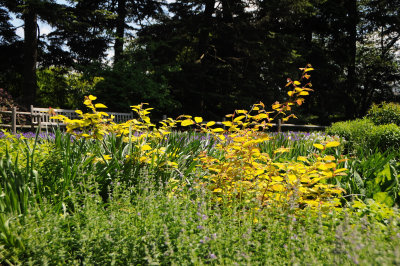 DSC_9918.jpg