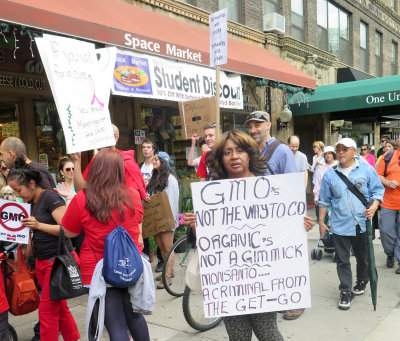 May 24, 2014 Photo Shoot - ,Washington Square Area Gardens, March Against Monsanto, Art Fair