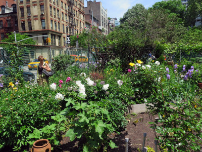Escape from City Streets in a Neighborhood Garden