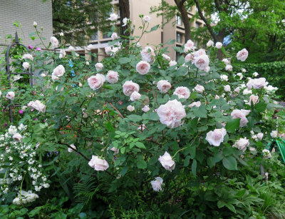 g9/26/411626/3/155982285.8CIaluhW.jpg