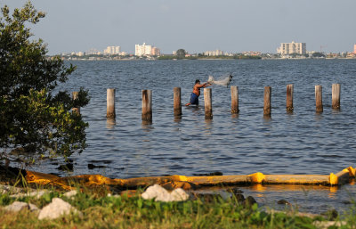 Casting a Net Into St Joseph's Sound 