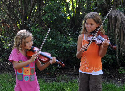 Violin Concert in the Park