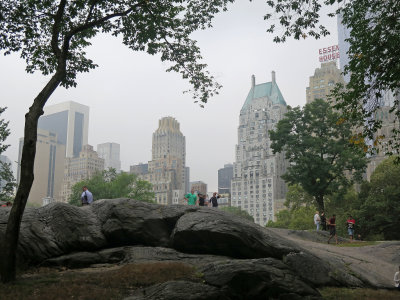 IMG_6577.jpg
