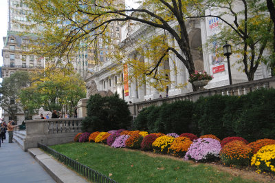 New York City Public Library - Fall View