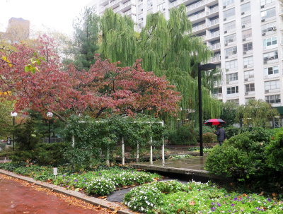 Morning Garden Rain