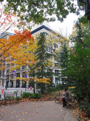 November 11, 2014 Photo Shoot - Mostly Washington Square Park Trees
