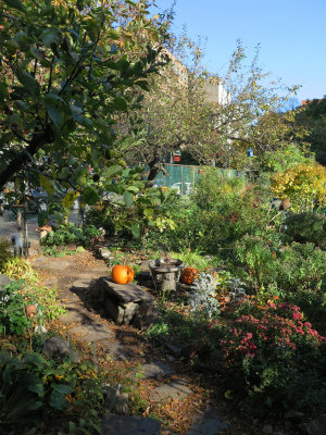 Garden Path with Skyline