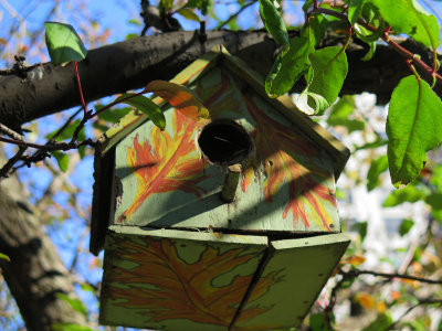 Bird House in the Crab Apple Tree