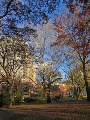 IMG_7839.jpg