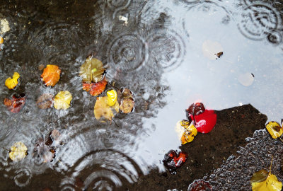 December 6, 2014 Photo Shoot - Mostly Rainy Day SOHO & Washington Square Park