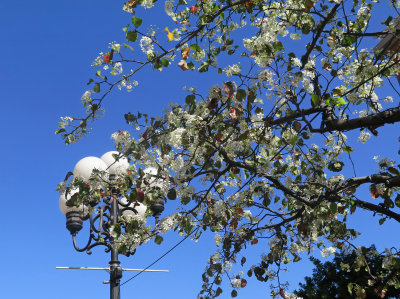 IMG_9741 copy.jpg