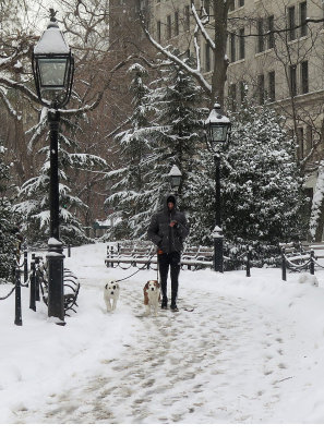February 18, 2015 Photo Shoot - Mostly Washington Square Park Snow Scenes