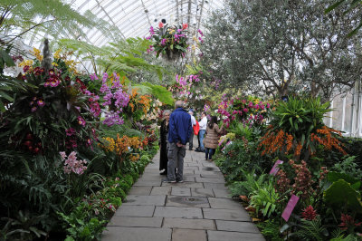 March 11, 2015 Photo Shoot - NY Botanical Garden Orchid Show & Grounds