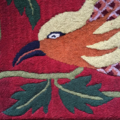 Tibetan Rug Detail of a Phoenix in My Bedroom