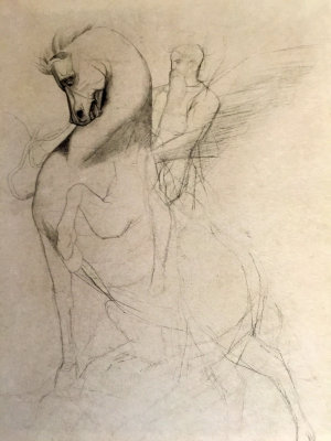 Winged Horseman - Graphite on Paper