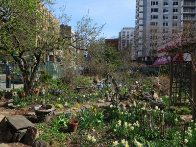 April 16, 2015 - LaGuardia Corner Garden