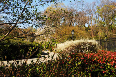 April 26, 2015 Central Park Conservancy Gardens