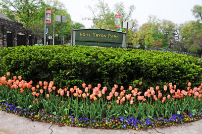 May 10, 2015 Photo Shoot - Mostly Fort Tryon Park