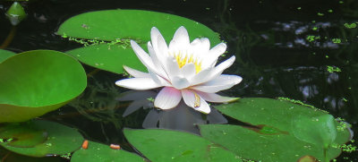 IMG_2012 copy.jpg