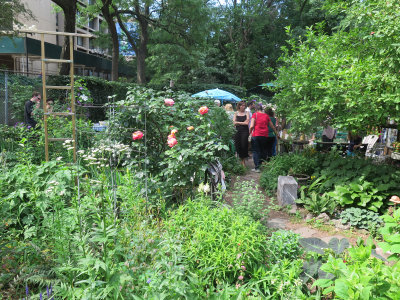 June 14, 2015 Photo Shoot - Mostly Washington Square Area Gardens