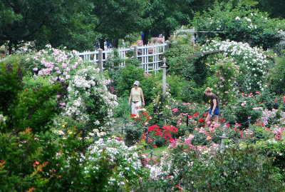 June 16, 2015 Photo Shoot - Brooklyn Botanic Garden