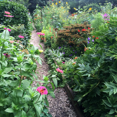 July 15, 2015 LaGuardia Corner Community Garden