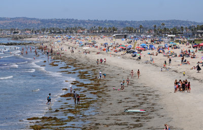 August 8, 2015 Photo Shoot - Mostly Ocean Beach San Diego  