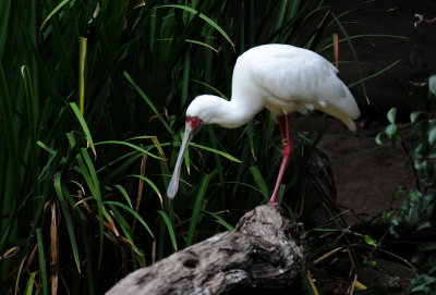 DSC_8321.jpg