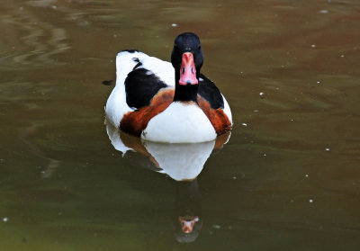 DSC_8329.jpg