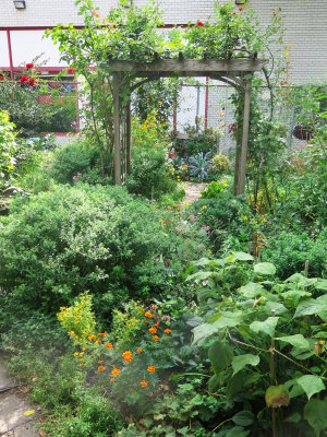 Garden & Rose Arbor